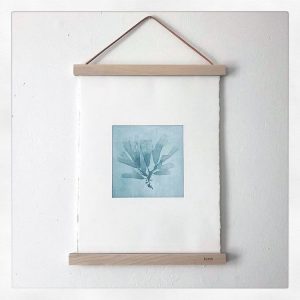 Seaweed Print 02